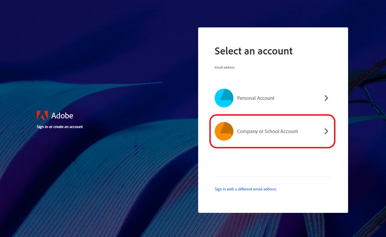 adobe account login